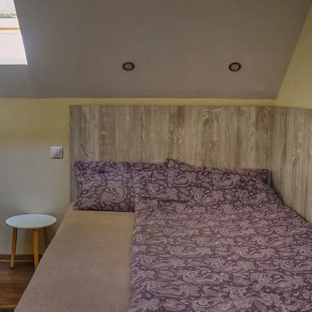 Casa Vandor Holiday home Sovata