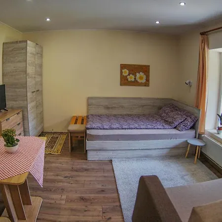 Casa Vandor * Sovata